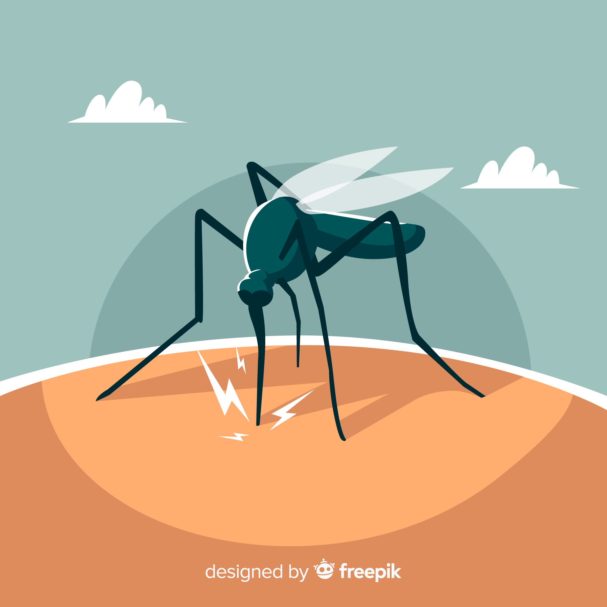 Mosquito biting